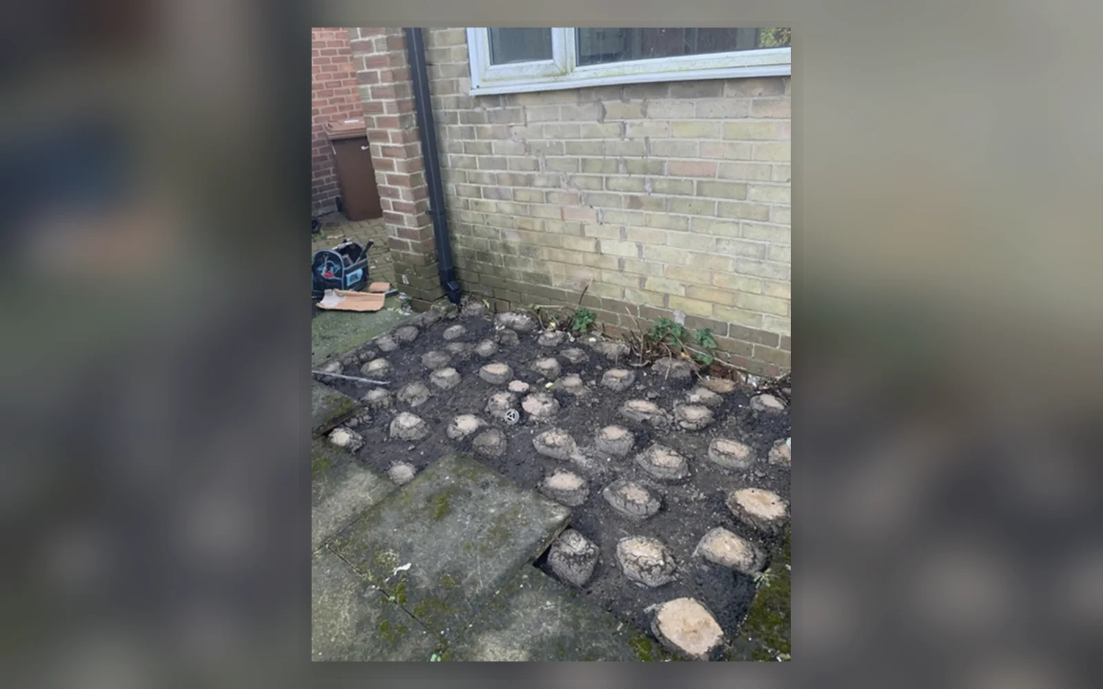External brick wall and exposed ground inspected for signs of structural movement