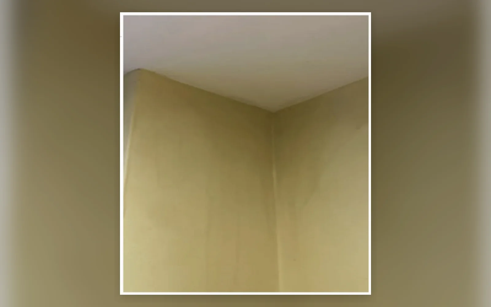 Internal wall staining investigated during a property inspection
